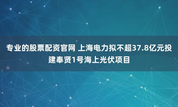 专业的股票配资官网 上海电力拟不超37.8亿元投建奉贤1号海上光伏项目