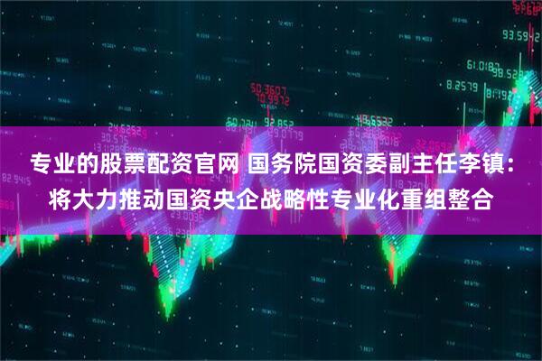 专业的股票配资官网 国务院国资委副主任李镇：将大力推动国资央企战略性专业化重组整合