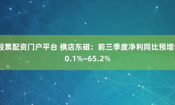 股票配资门户平台 横店东磁：前三季度净利同比预增50.1%~65.2%