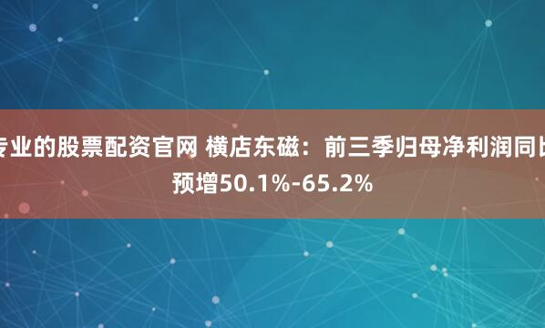 专业的股票配资官网 横店东磁：前三季归母净利润同比预增50.1%-65.2%