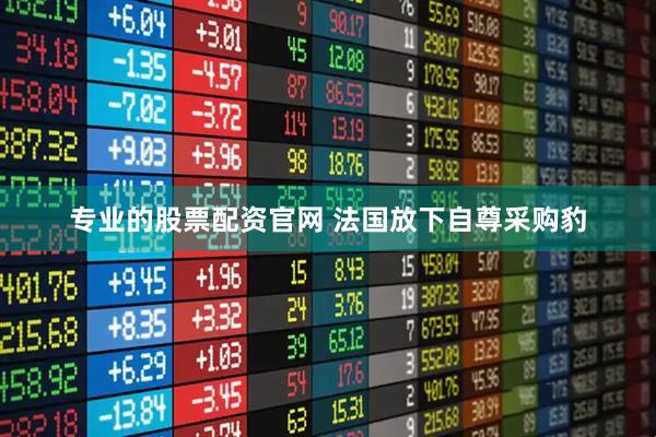 专业的股票配资官网 法国放下自尊采购豹