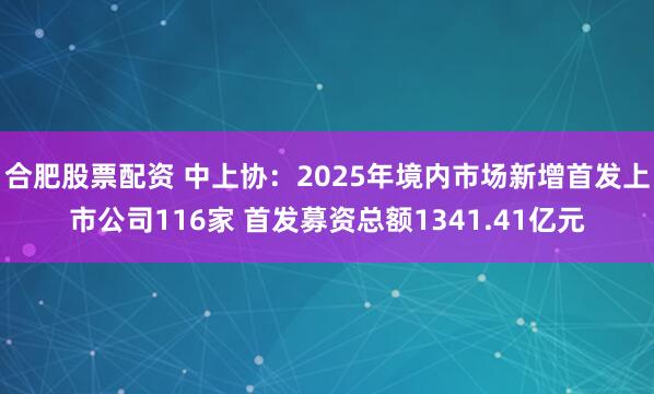 合肥股票配资 中上协：2025年境内市场新增首发上市公司116家 首发募资总额1341.41亿元