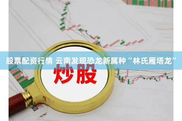 股票配资行情 云南发现恐龙新属种“林氏雁塔龙”