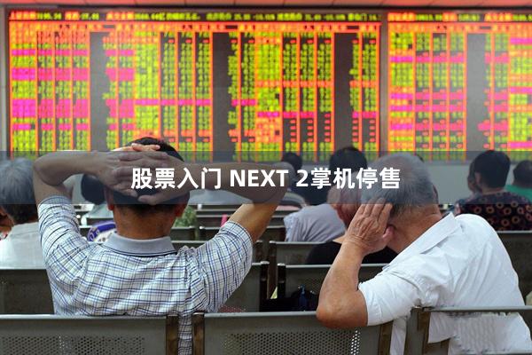 股票入门 NEXT 2掌机停售