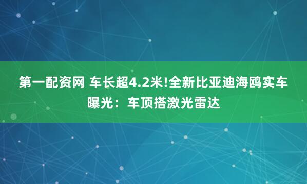 第一配资网 车长超4.2米!全新比亚迪海鸥实车曝光：车顶搭激光雷达